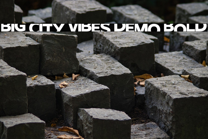 Big City Vibes Demo Bold Example 2