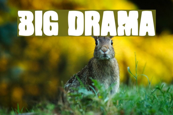 Big Drama Font examples