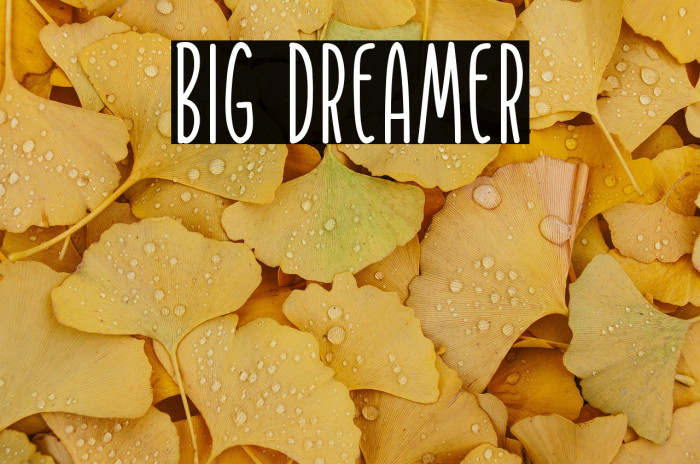 Big Dreamer Example 3