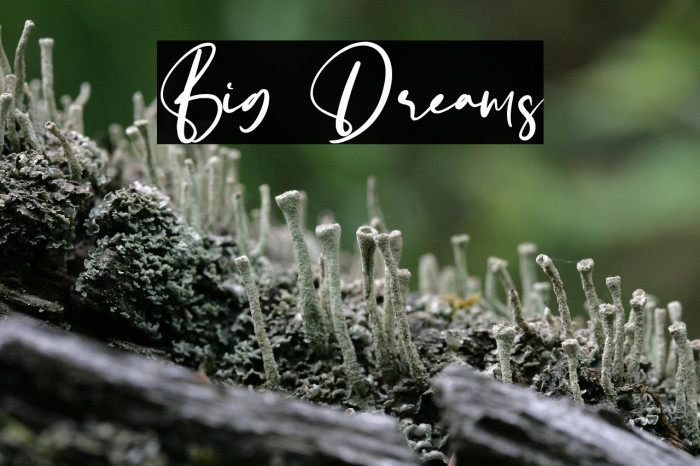 Big Dreams Example 1