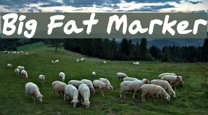 Big Fat Marker Font examples