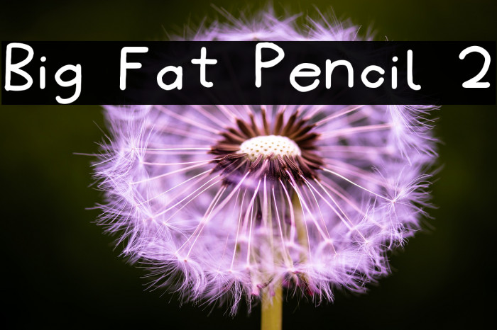 Big Fat Pencil 2 Font examples