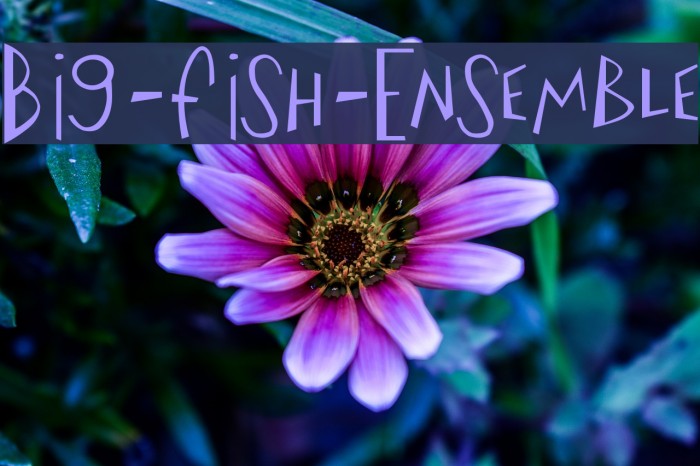 Big-Fish-Ensemble Font examples