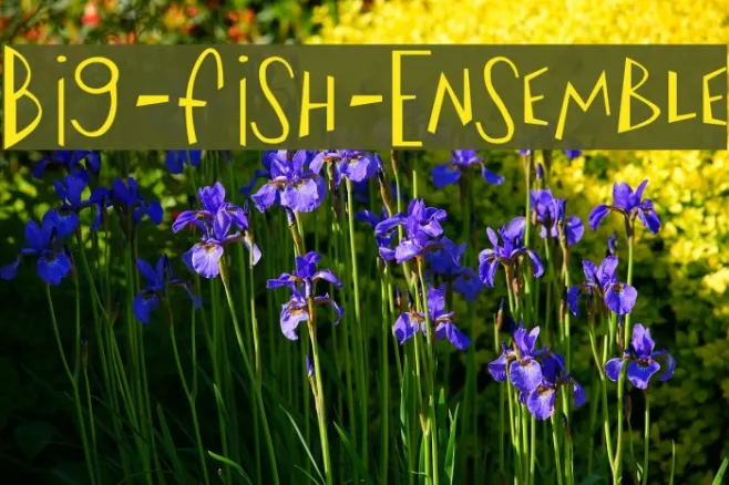 Big-Fish-Ensemble Example 2