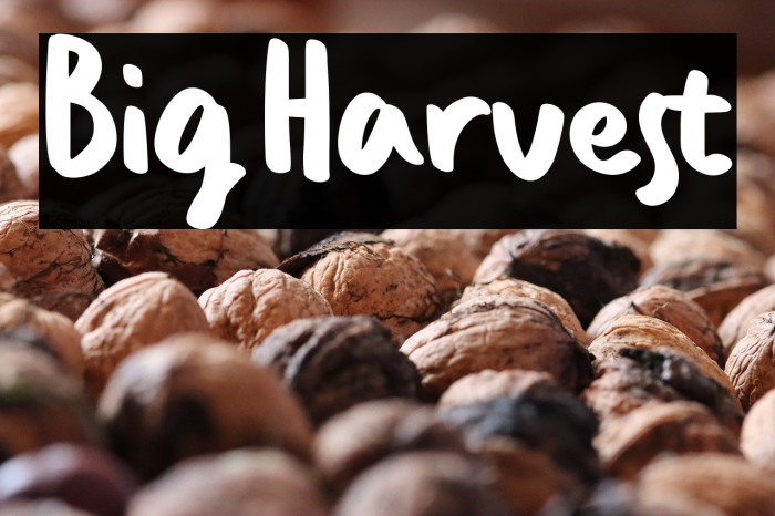 Big Harvest Example 1