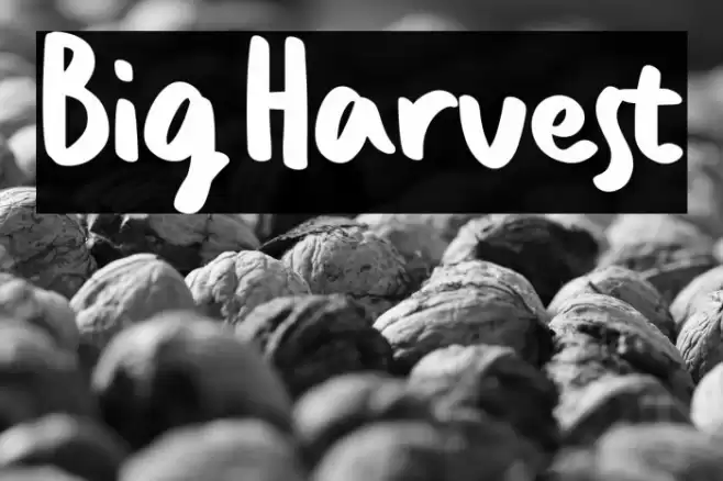 Big Harvest Polices examples