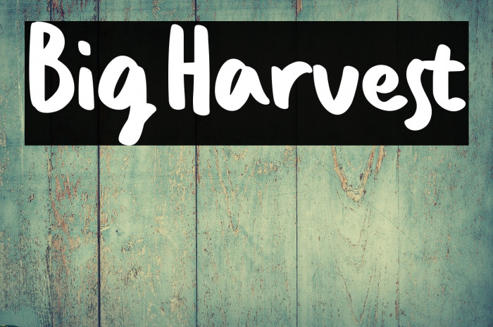 Big Harvest Example 2