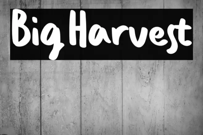 Big Harvest Polices examples