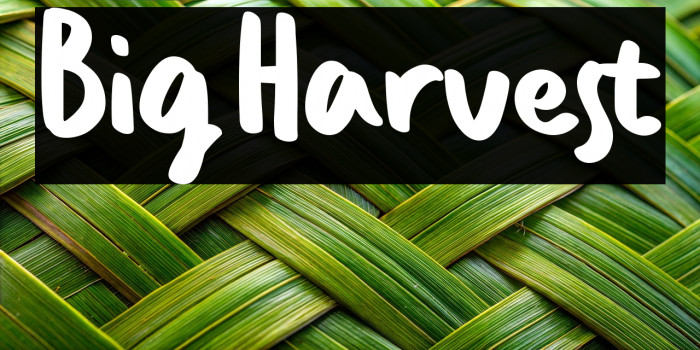 Big Harvest Example 3