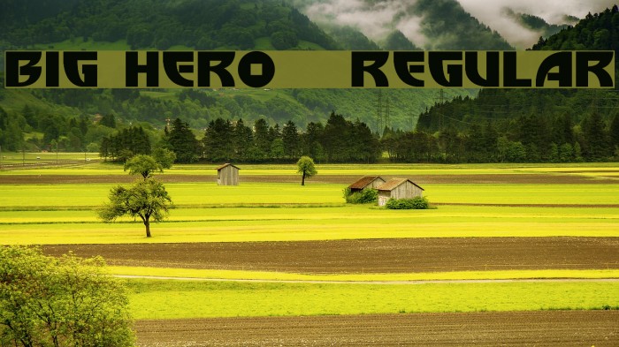 Big Hero 6 Regular Font examples