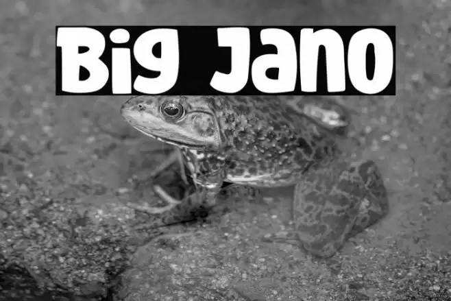 Big Jano Font examples