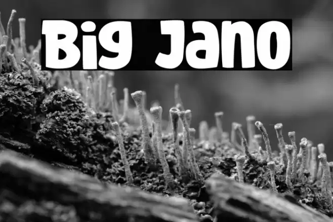 Big Jano Font examples