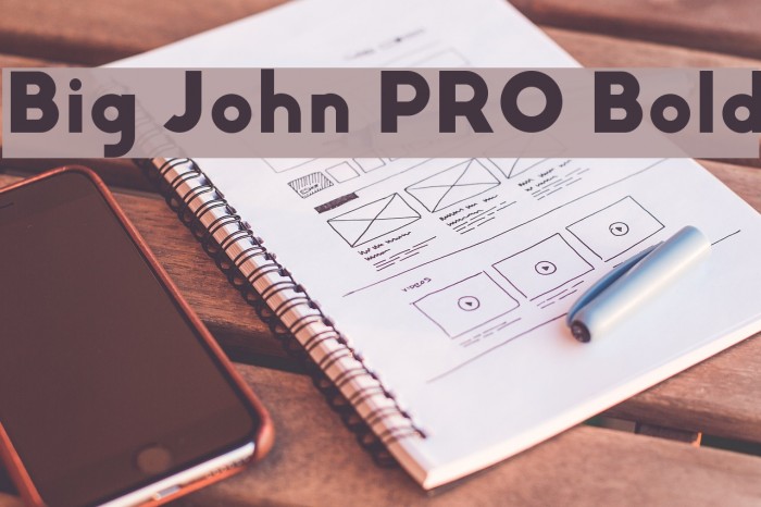 Big John PRO Bold Example 1