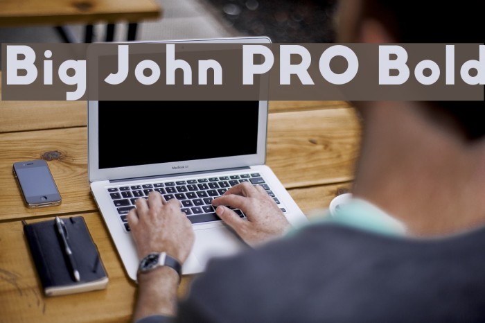 Big John PRO Bold Example 2