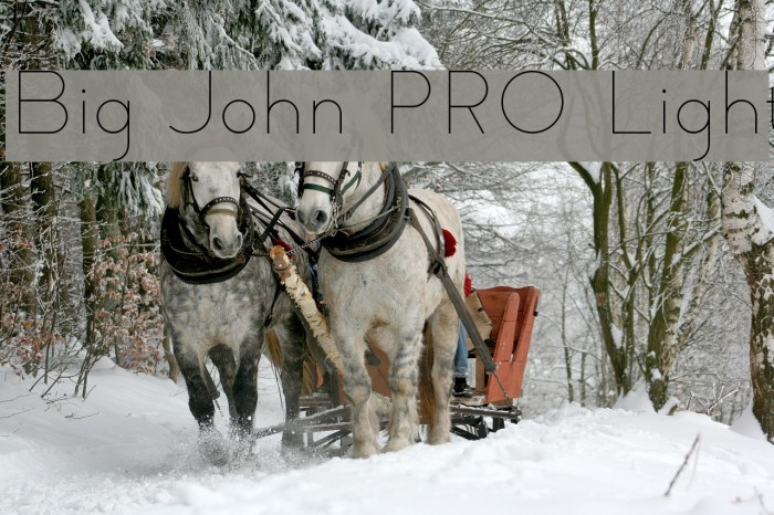 Big John PRO Light Font examples