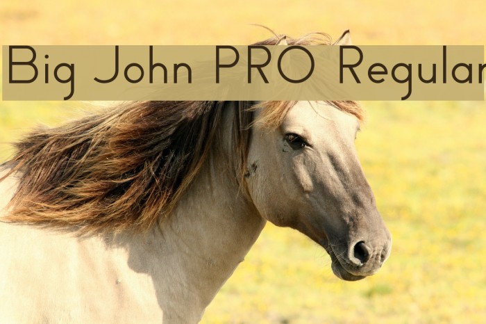 Big John PRO Regular Example 1