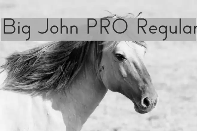 Big John PRO Regular Font examples