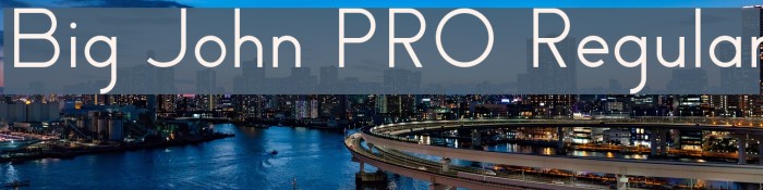 Big John PRO Regular Example 3
