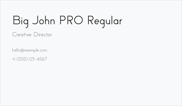 Big John PRO Regular Business Card