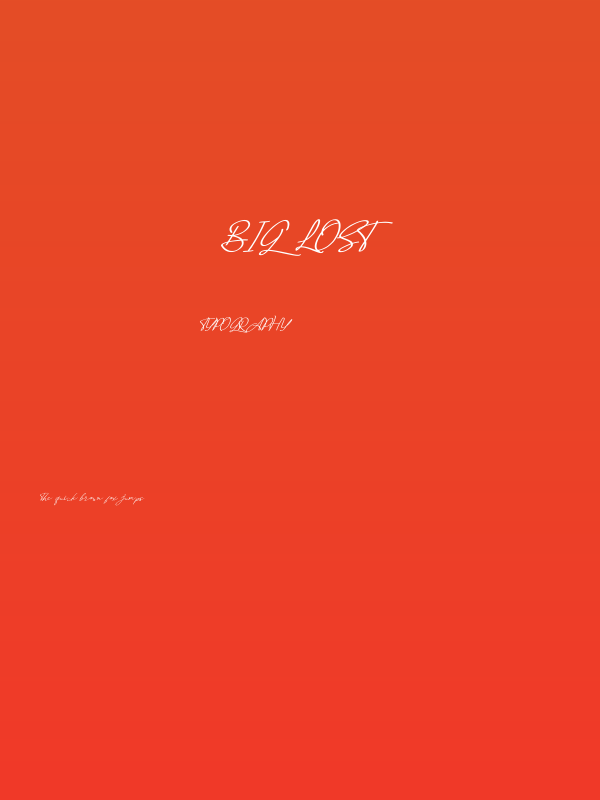 Big Lost Poster