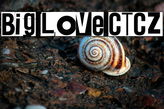 Big Love CTCZ Example 1