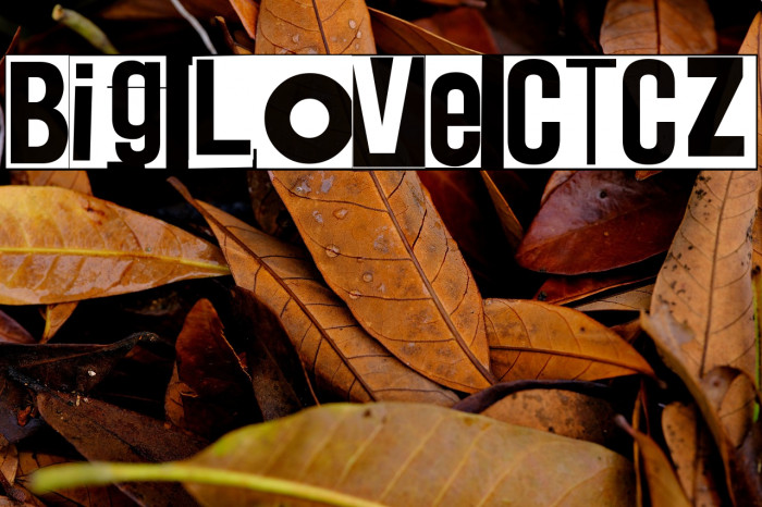 Big Love CTCZ Example 3