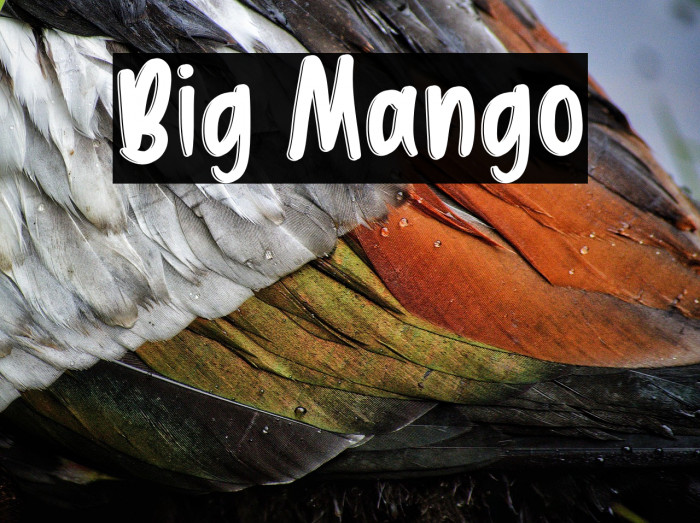Big Mango Example 2