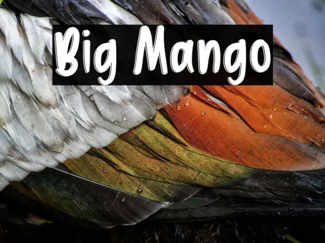 Big Mango Example 2