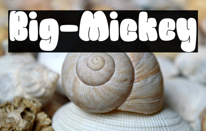 Big-Mickey Example 2