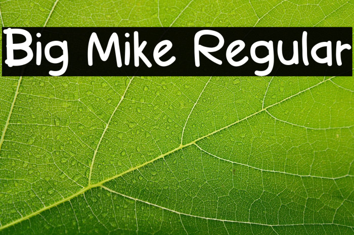 Big Mike Regular Example 1