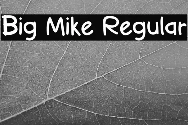 Big Mike Regular Font examples