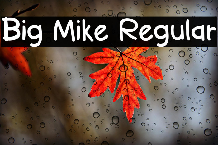 Big Mike Regular Example 2