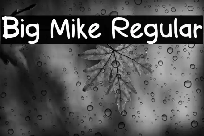 Big Mike Regular Font examples