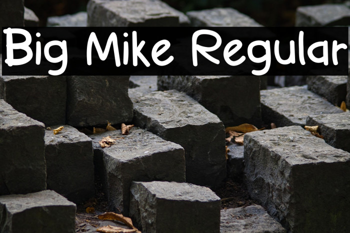 Big Mike Regular Example 3