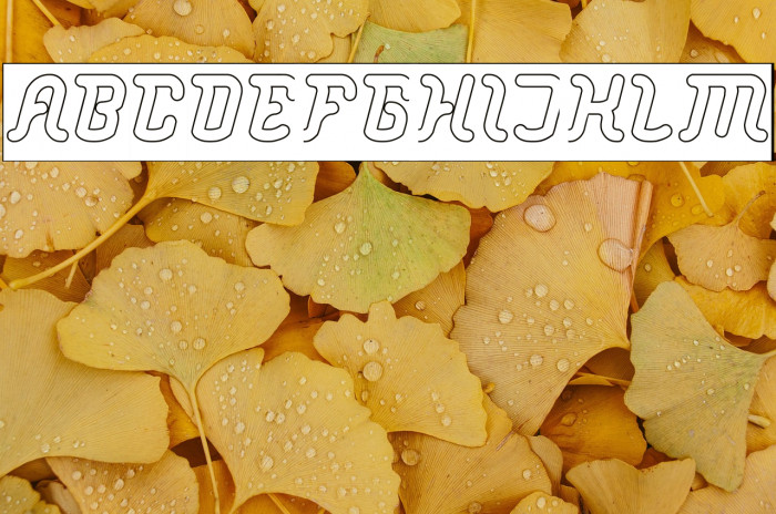 Big Mountain-Hollow-Inverse Example 1