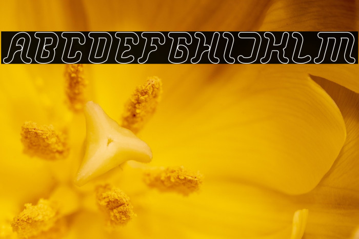 Big Mountain-Hollow Example 1