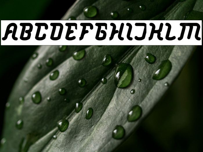 Big Mountain-Inverse Example 3