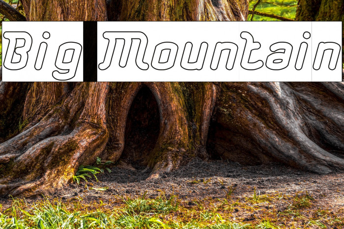 Big Mountain Example 2