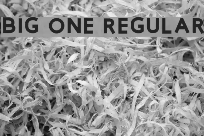Big One Regular Font examples