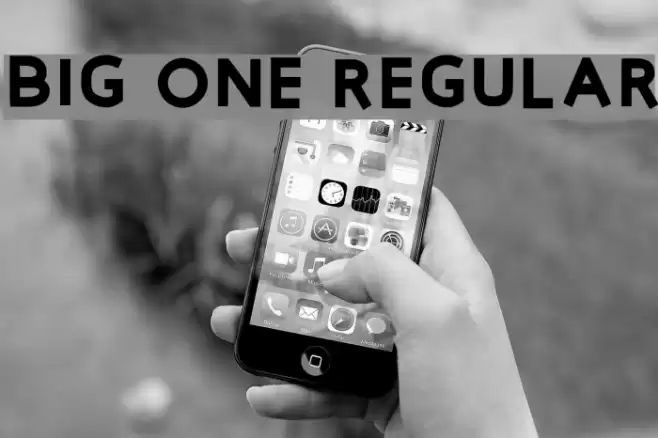 Big One Regular Font examples