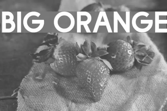 Big Orange Font examples