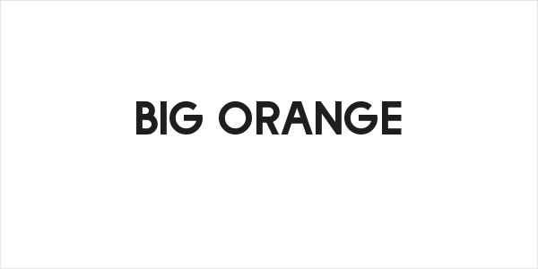 Big Orange Logo