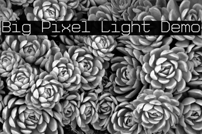 Big Pixel Light Demo Font examples