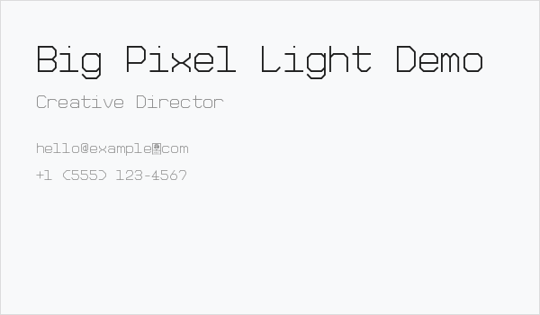 Big Pixel Light Demo Business Card