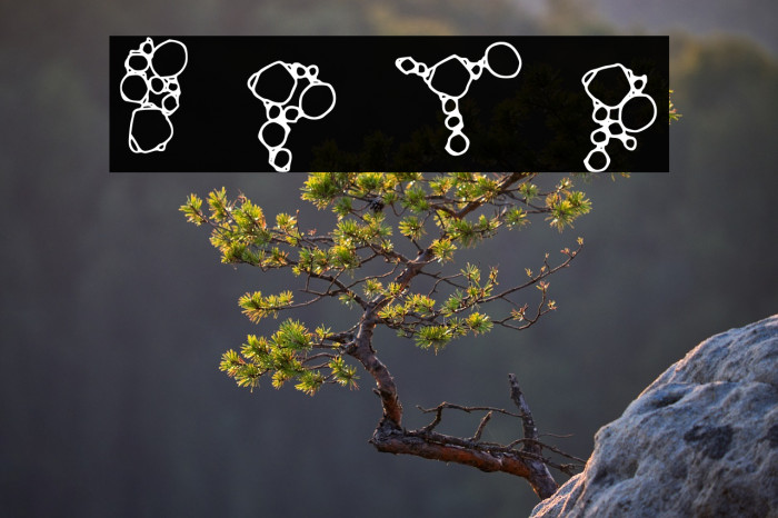 Big Popcorn Time Regular Example 1