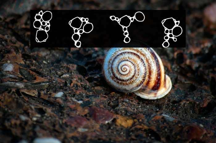 Big Popcorn Time Regular Example 2