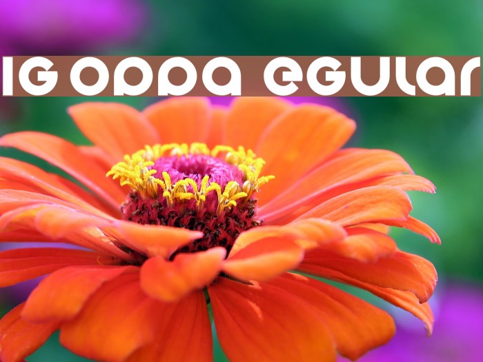 Big Poppa E Regular Font examples