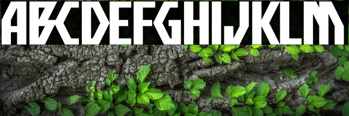 Big Scream Straight Example 2