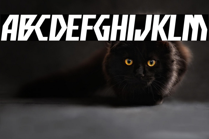 Big Scream Example 2