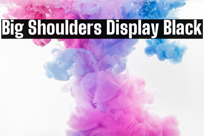 Big Shoulders Display Black Font examples